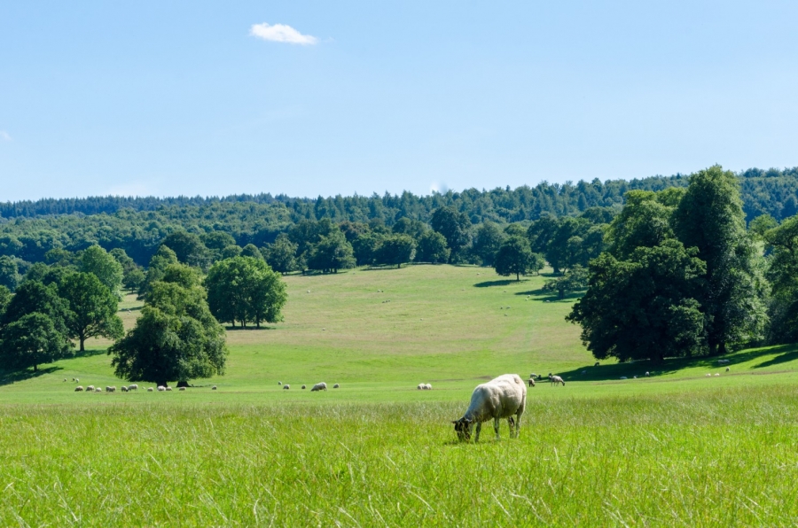 Don’t delay – Enquire today - Chris Muir reviews the Higher Tier application process urging farmers to contact him now if you are considering an application by April 2024.