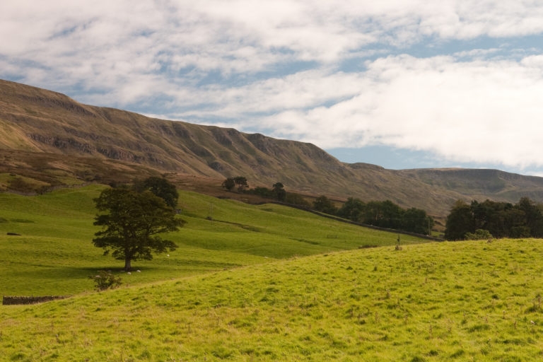 RPA Announces Countryside Stewardship Upland Payment Rates