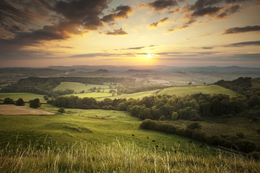 Farming in a Protected Landscapes Scheme