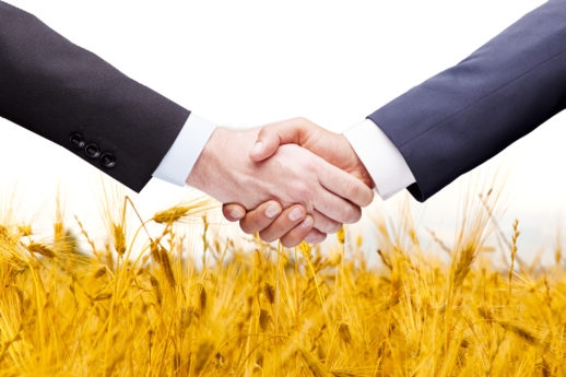 CONTRACT FARMING OR FARM BUSINESS TENANCY?