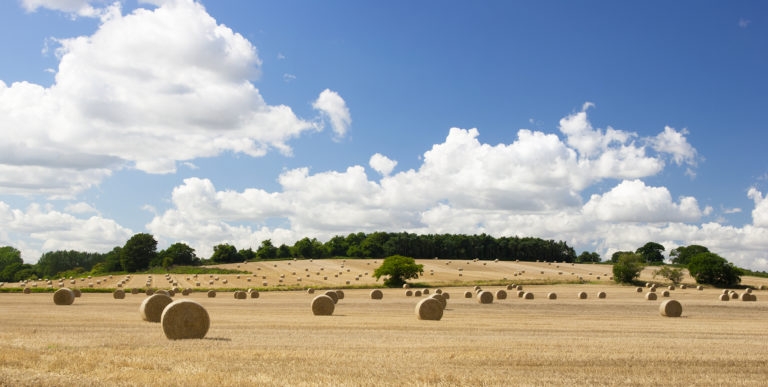 Lump Sum Exit Scheme – Farmland Impact