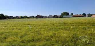 4.56 Ac at Asselby, Howden