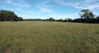 13.54 Ac of Pasture Land at Easingwold, York