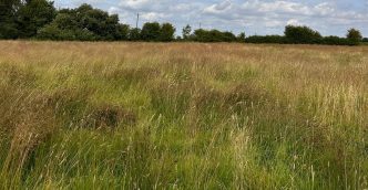 10.86 Ac of Grassland at Rufforth, York