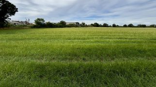 13.50 Ac of Agricultural Land at Elvington, York