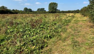 2.17Ac (0.88Ha) Grass Paddock at Tollerton, York