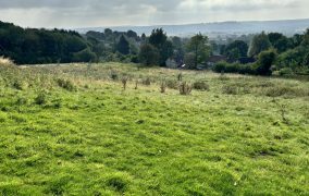 4.36 Ac (1.76 Ha) Grass Paddock at Ampleforth, York