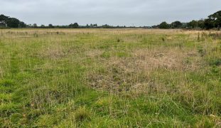 10.02 Ac (4.05 Ha) of Land at Shipton, York