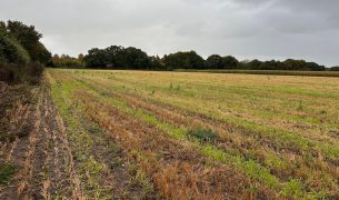 16.36 Ac (6.62 Ha) of Farmland near Easingwold