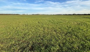 56.58 Ac (22.9  Ha) of Land at Wheldrake